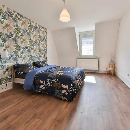 Generous 3-bedrooms Under The Roof Downtown - Dodo Et Tartine Apartmán Mylhúzy